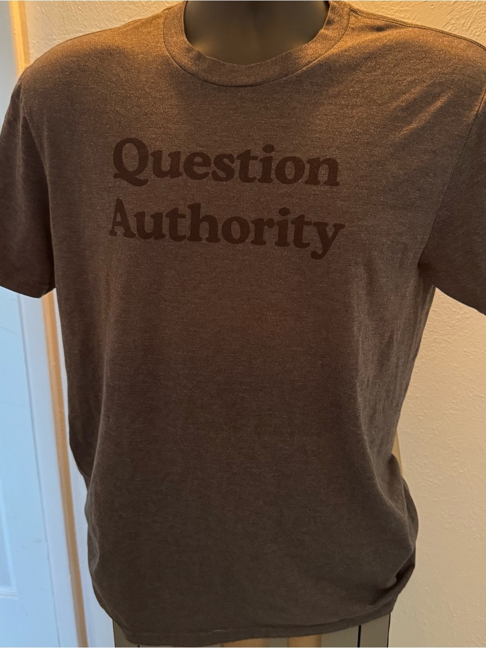 Question Authority Grey Graphic Tee - Men's Crewneck Shirt
